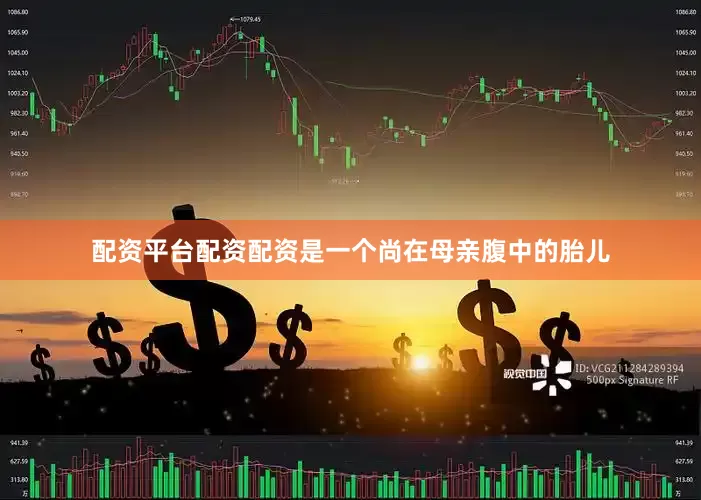 配资平台配资配资是一个尚在母亲腹中的胎儿