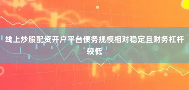 线上炒股配资开户平台债务规模相对稳定且财务杠杆较低