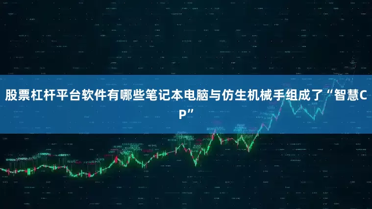 股票杠杆平台软件有哪些笔记本电脑与仿生机械手组成了“智慧CP”