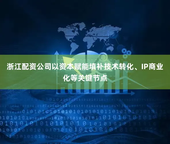 浙江配资公司以资本赋能填补技术转化、IP商业化等关键节点