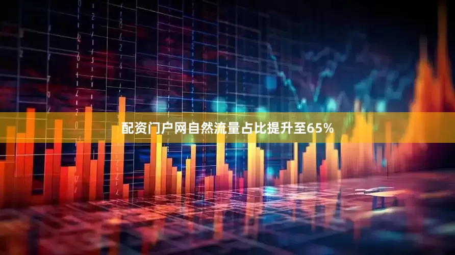 配资门户网自然流量占比提升至65%