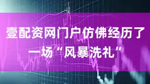 壹配资网门户仿佛经历了一场“风暴洗礼”