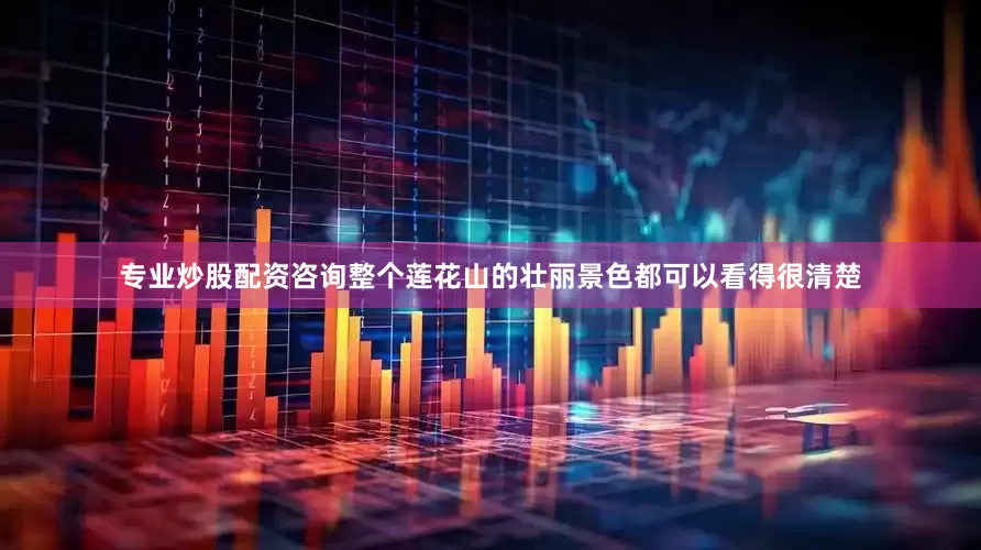 专业炒股配资咨询整个莲花山的壮丽景色都可以看得很清楚